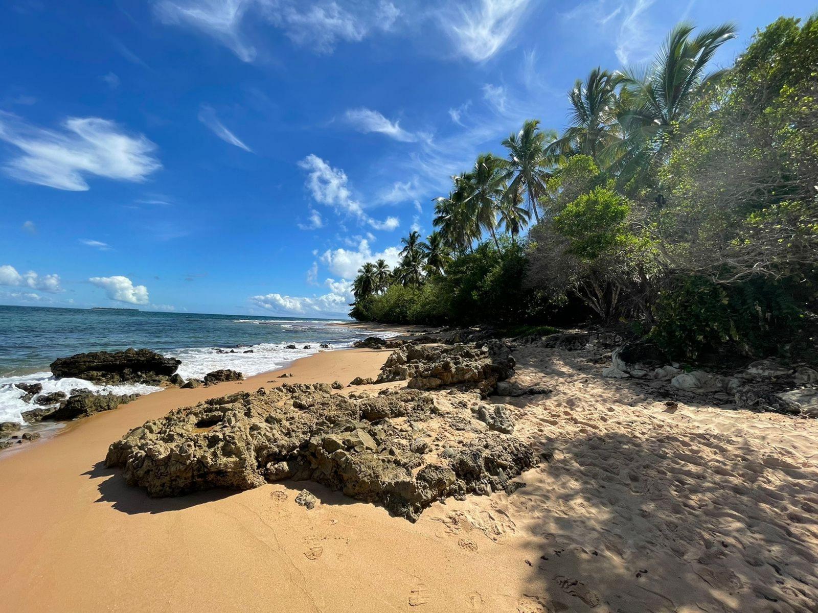 Bootsausflug Camamu-Bucht