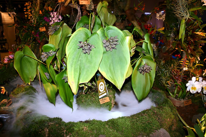 Reisebüro Bautzen, Dresdener Ostern, Tagesfahrt Dresdener Ostern