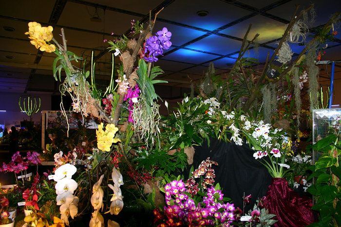 Reisebüro Bautzen, Nacht der Orchideen, hinundweg, Busunternehmen Bautzen