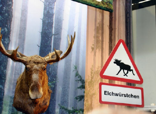 Tagesfahrt Grüne Woche, grüne woche, reisebüro Bautzen