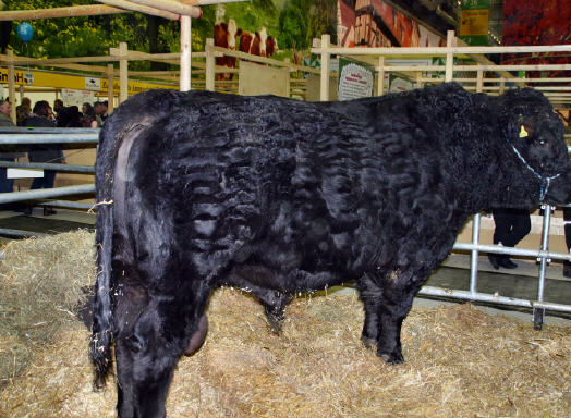 Agrar, Landwirtschaft,Technik