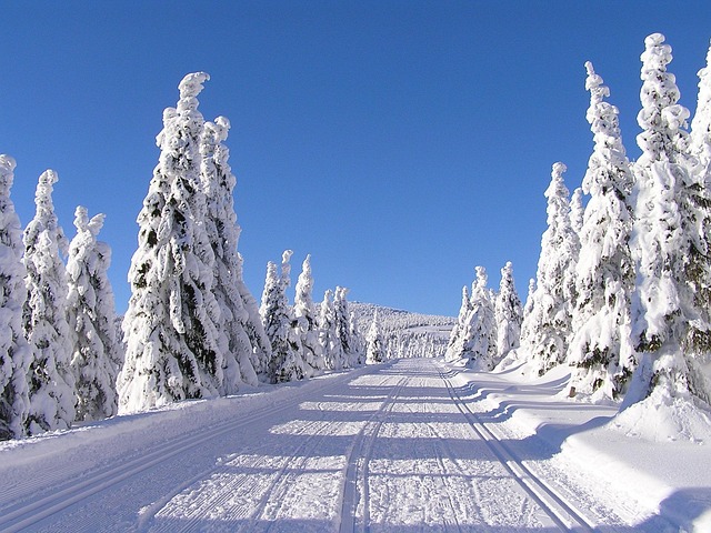 winterlandschaft im Riesengebirge