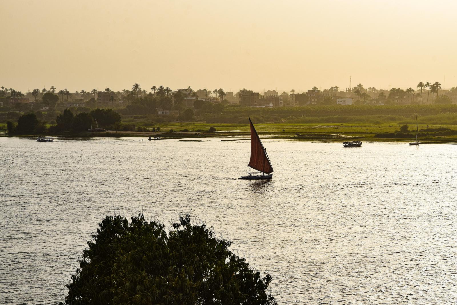 Nil bei Luxor mit Palmen und Landschaft