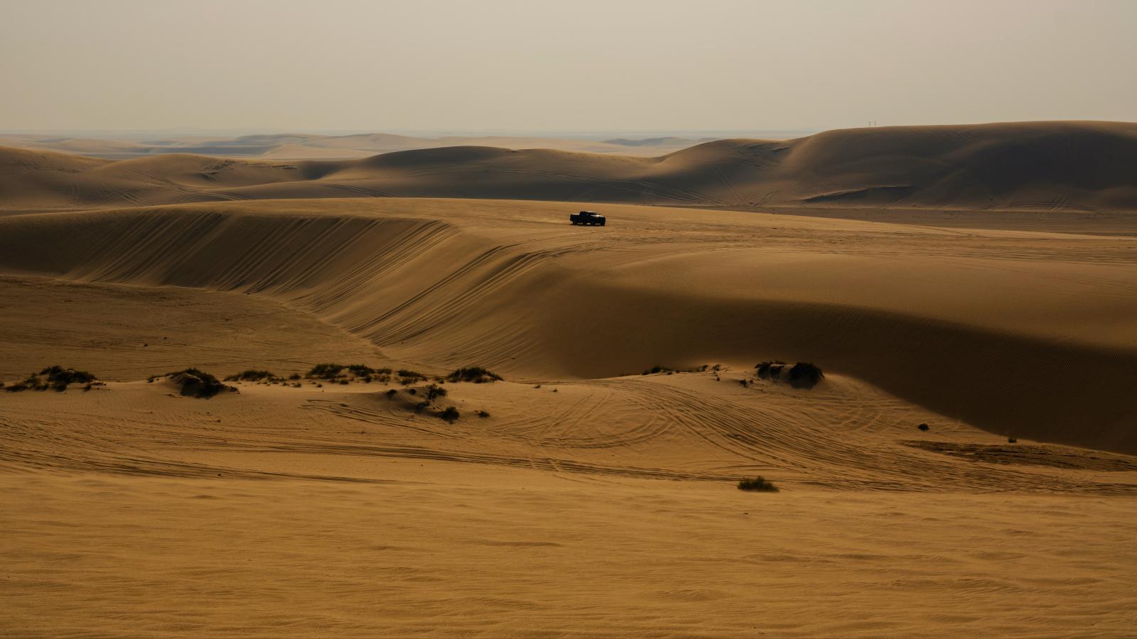 Dünenlandschaft bei einer Wüstensafari