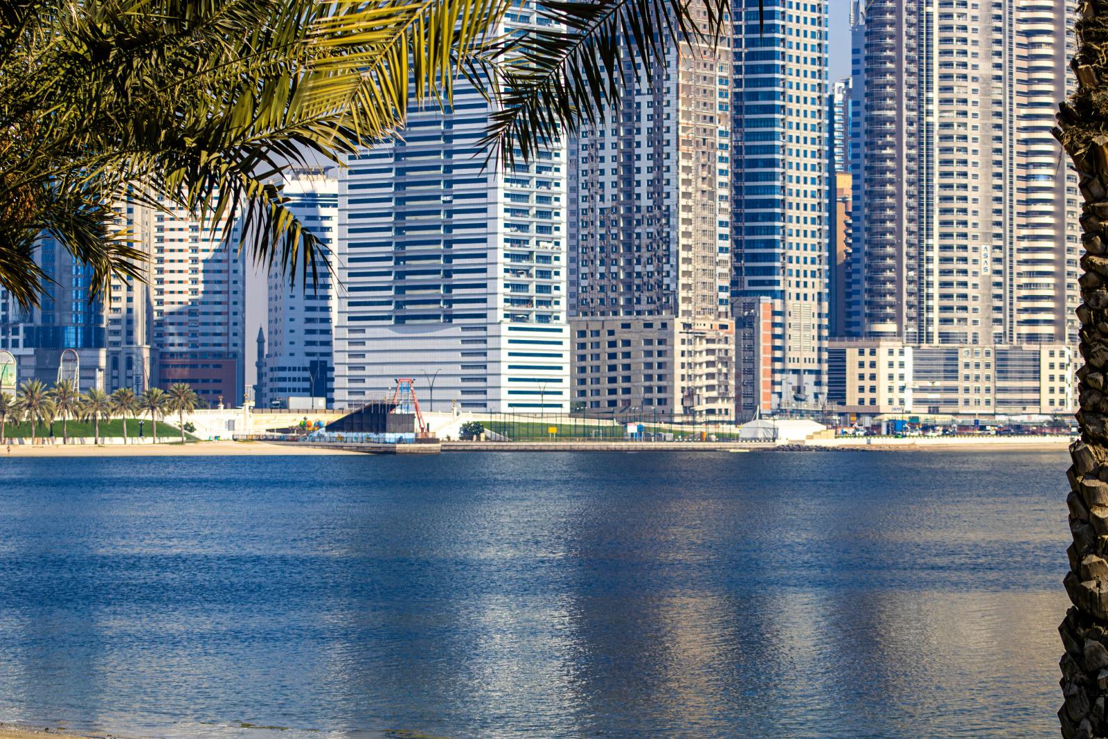 panorama der vereinigten arabischen emirate mit skyline, meer und palmen