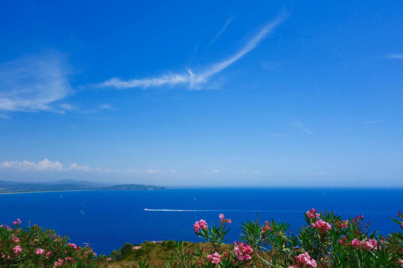 Toskanische Küste oder mediterrane Landschaft