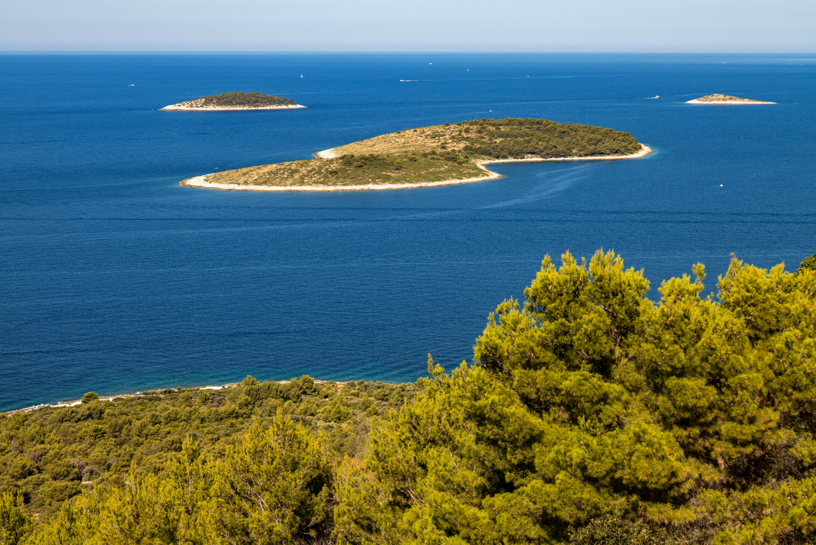 Dalmatinische Insel mit türkisblauem Wasser