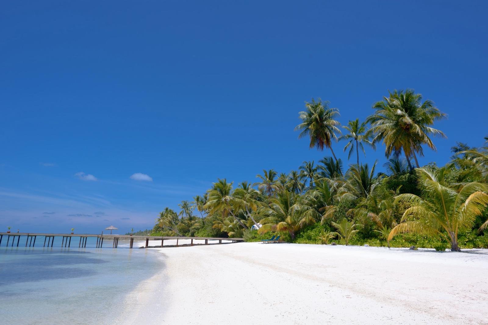 Tropische Insel mit Palmen, Strand und ruhigem türkisfarbenem Wasser