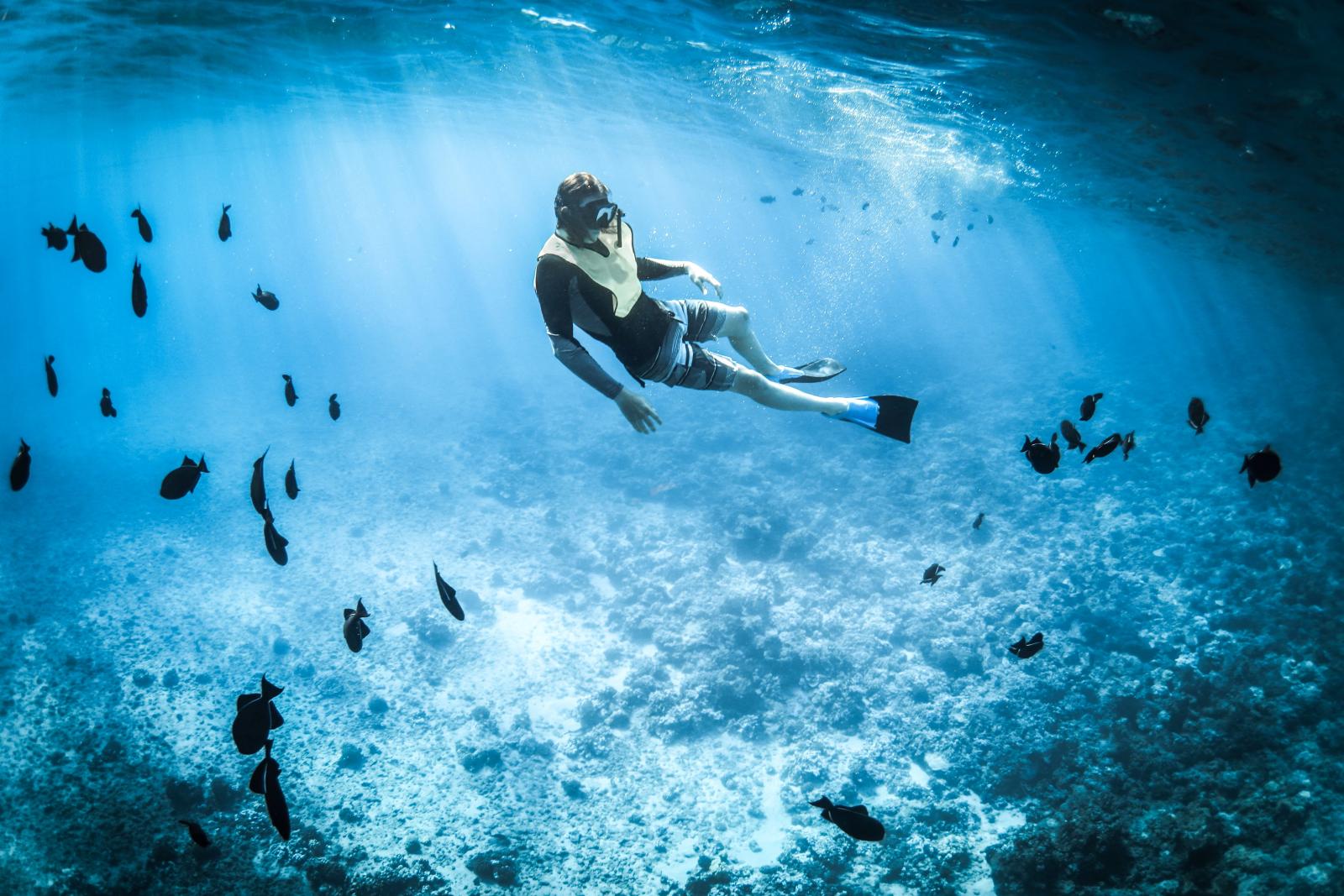 Schnorchler blickt in eine klare Lagune mit Korallenriff und tropischen Fischen
