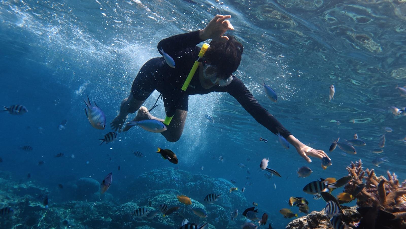 Urlauber beim Schnorcheln über einem Korallenriff mit tropischen Fischen