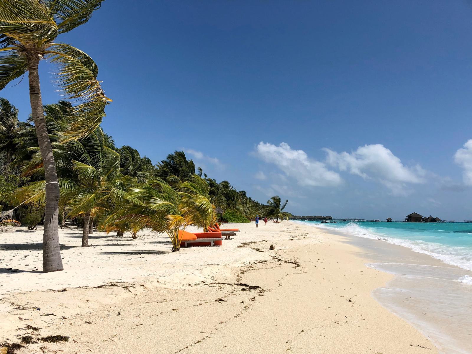 Weißer Sandstrand mit Palmen, Sonnenliegen und türkisfarbenem Meer