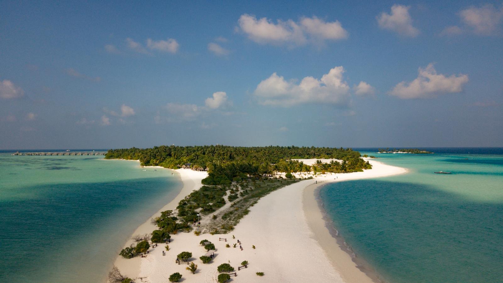 Panoramablick auf eine Malediveninsel mit weißem Sandstrand, Palmen und türkisblauer Lagune