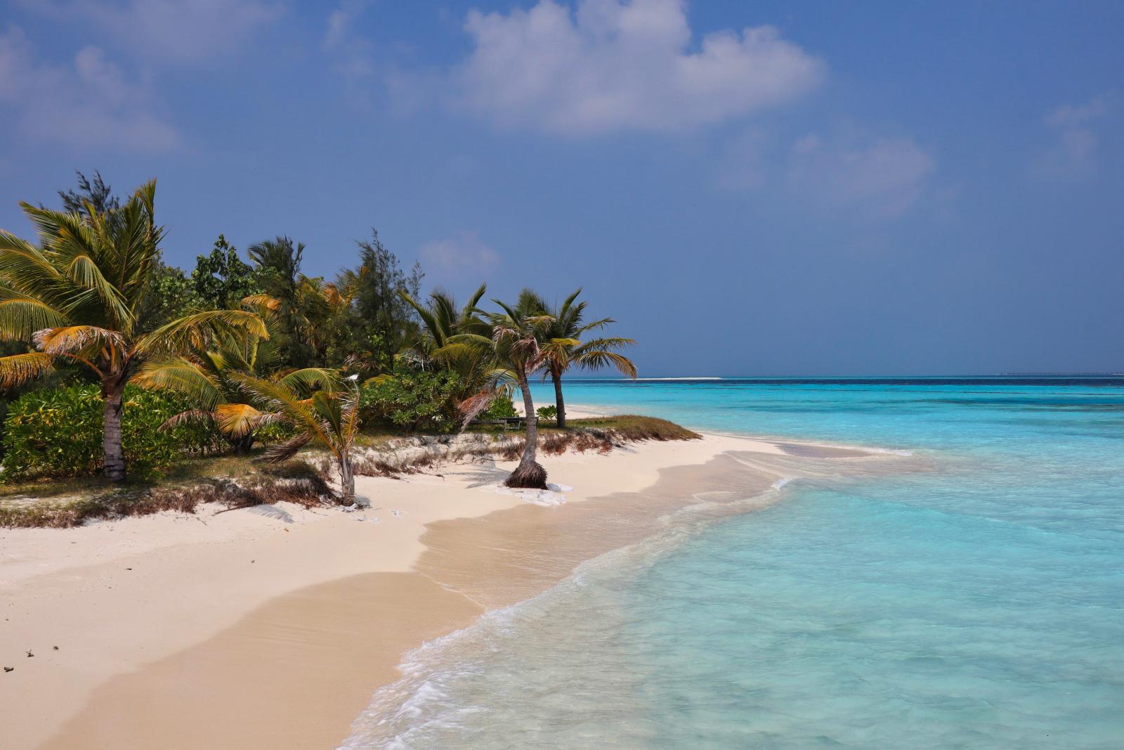 Entdecken Sie die friedliche Schönheit eines tropischen Strandes mit Kokospalmen und türkisfarbenem Wasser auf den Malediven.