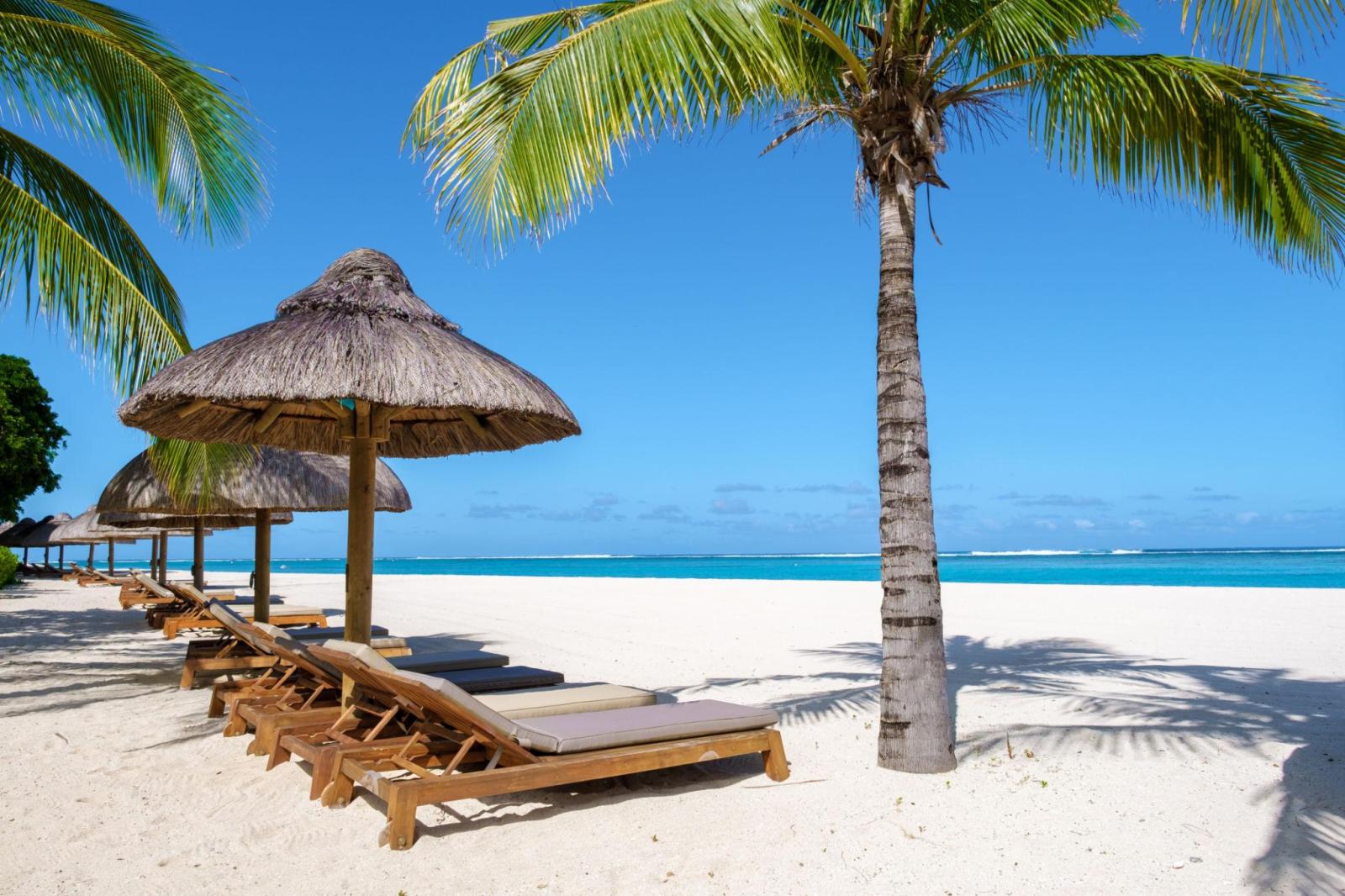 Türkisfarbene Lagune und Palmenstrand auf Mauritius bei sonnigem Wetter