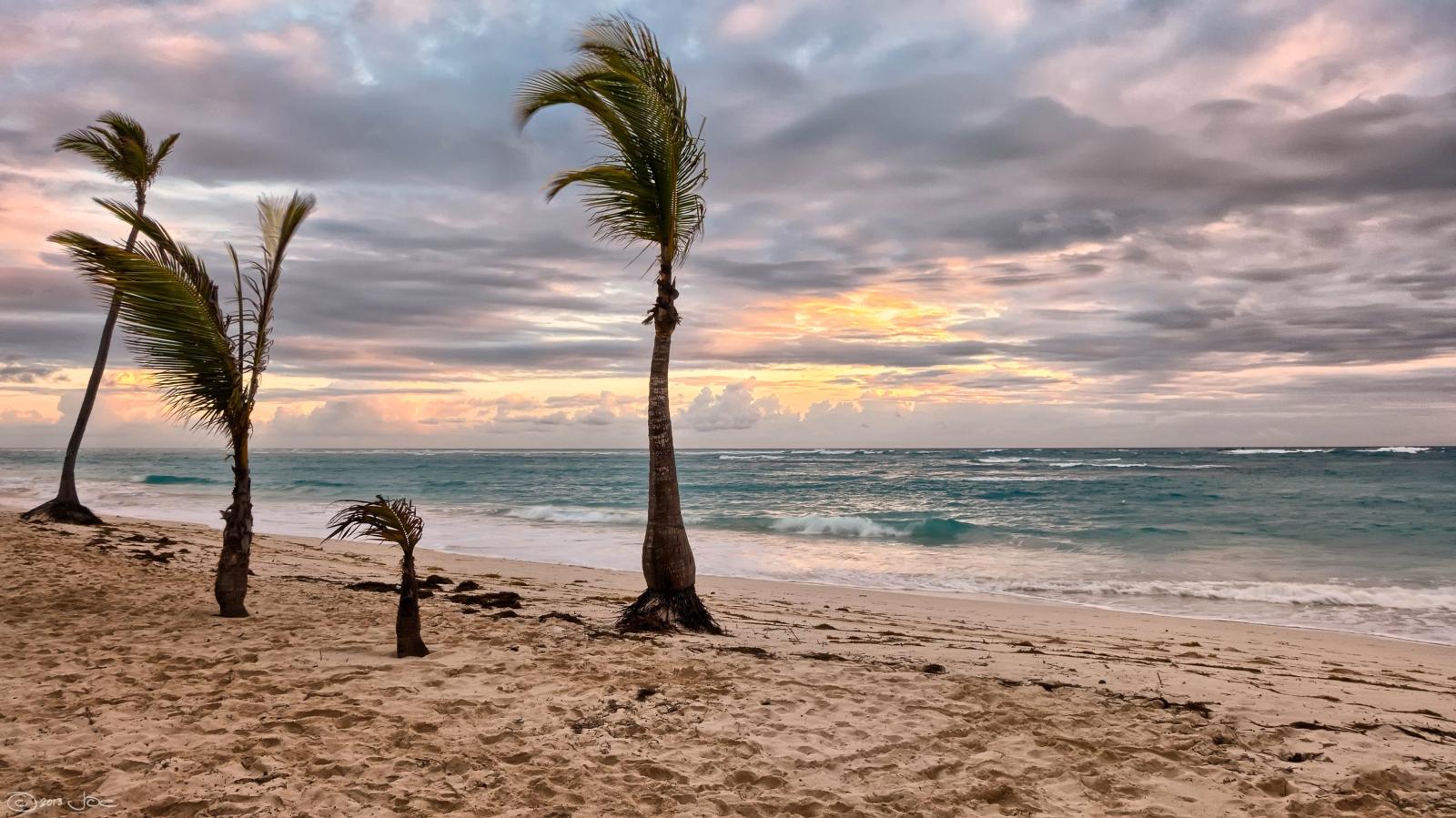 Romantischer Sandstrand auf Mauritius mit Palmen, Lagune und warmem Abendlicht.