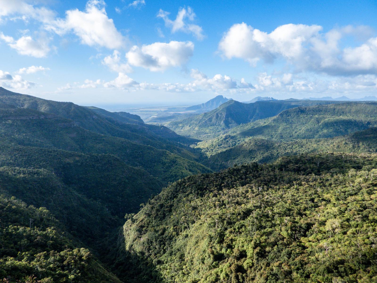 Grüne Berglandschaft und bewaldete Täler im Black-River-Gorges-Nationalpark