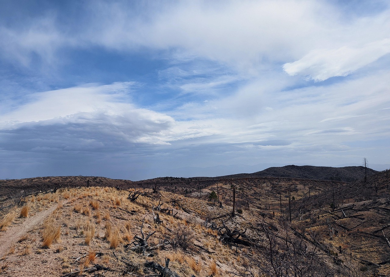 Naturlandschaft auf Formentera