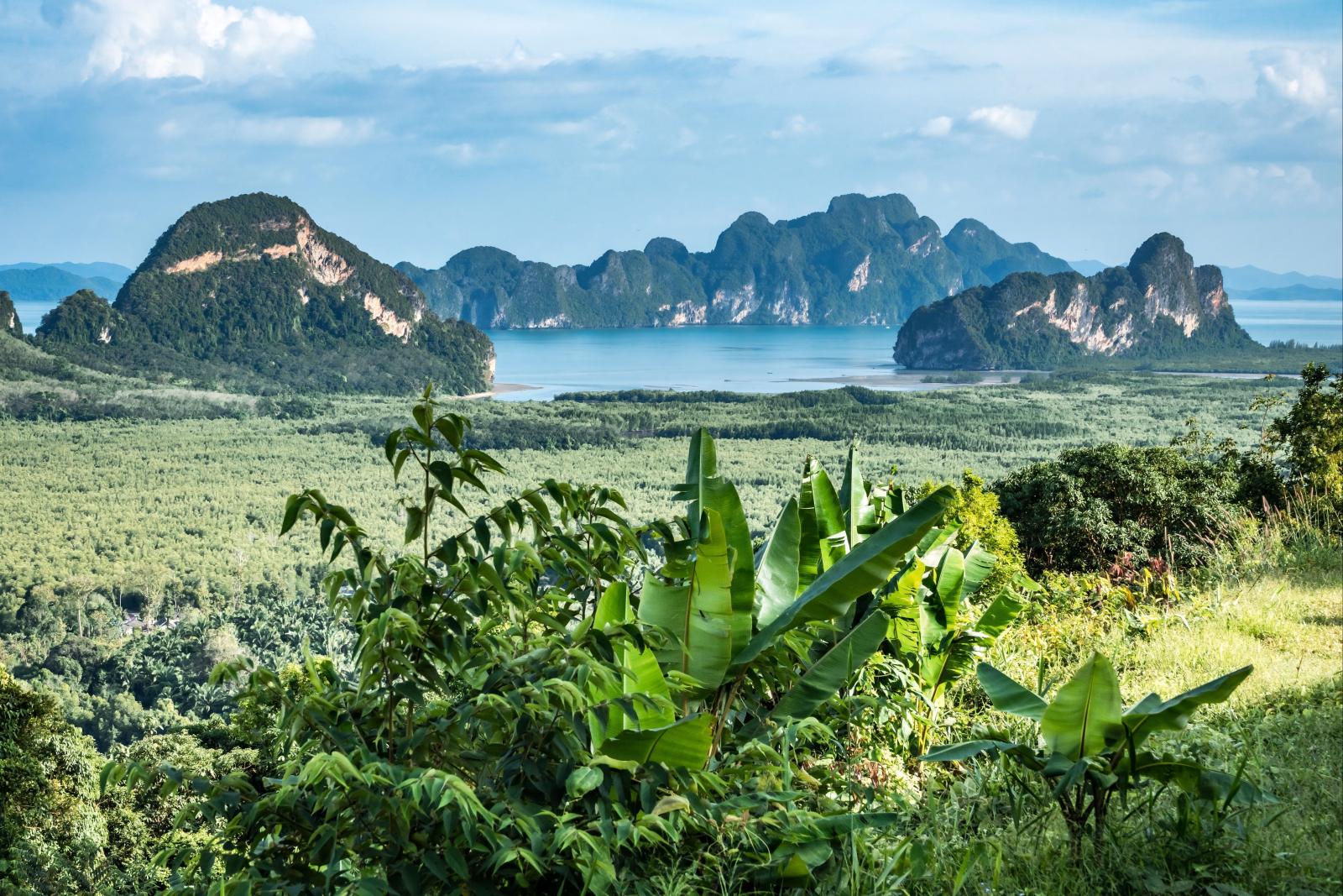 Tropische Natur als Inspiration für eine Thailand-Reise