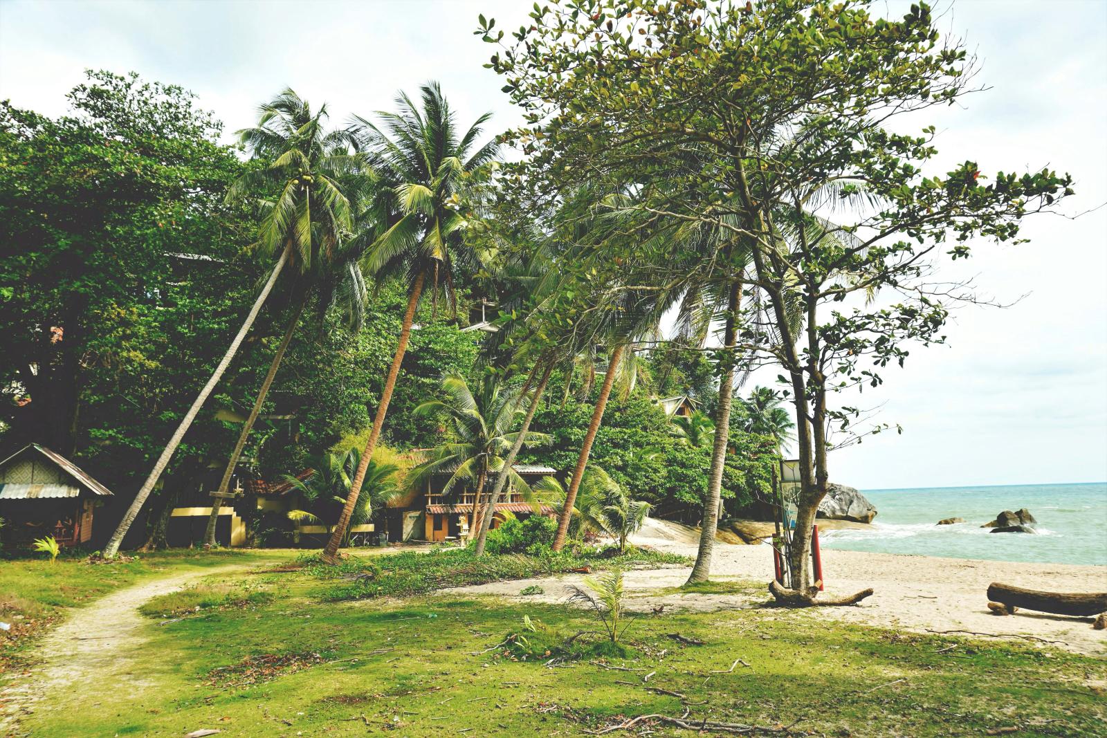 Unterkunft nahe einem tropischen Strand auf den Phi-Phi-Inseln