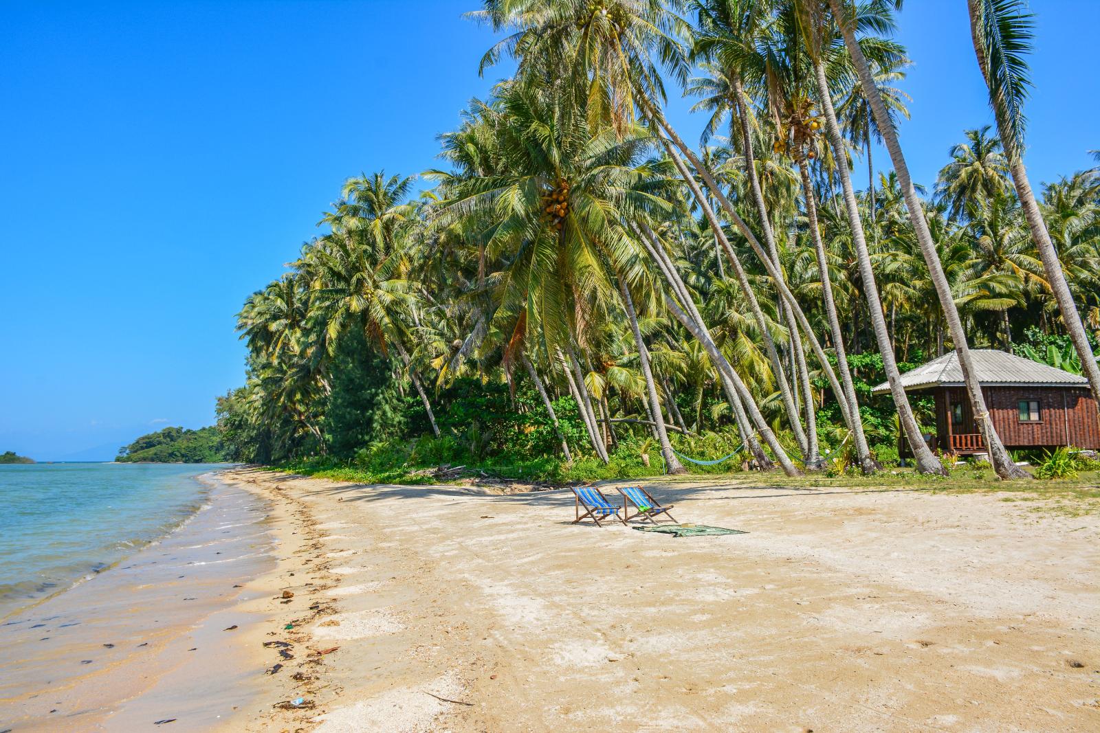 Strandunterkunft mit Palmen auf Koh Phangan in Thailand