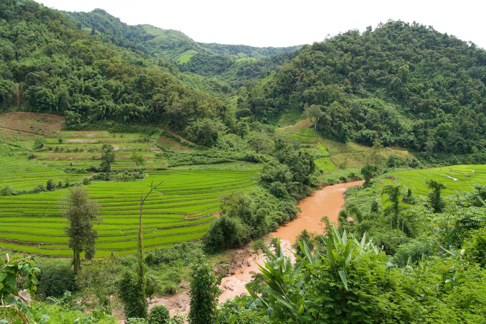 Grüne Berglandschaft in Nordthailand mit tropischer Natur