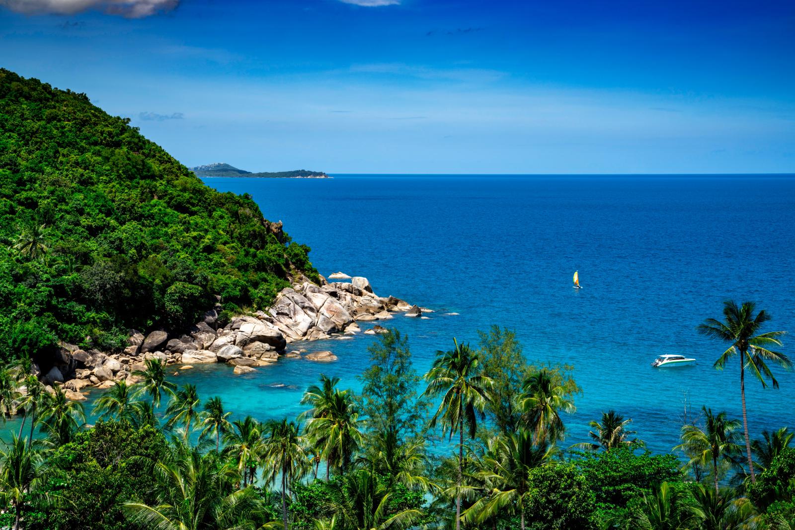 Koh Samui Reisen – tropischer Palmenstrand in Thailand.