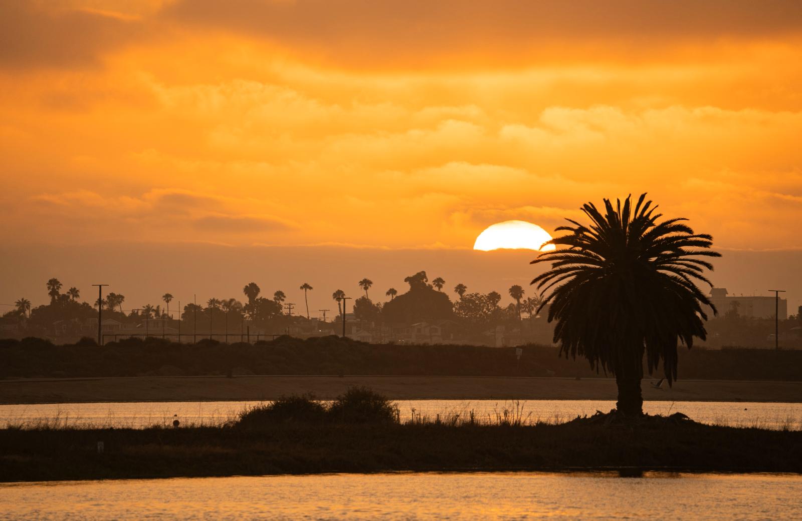 San Diego Skyline mit Pazifik und Palmen bei Sonnenuntergang