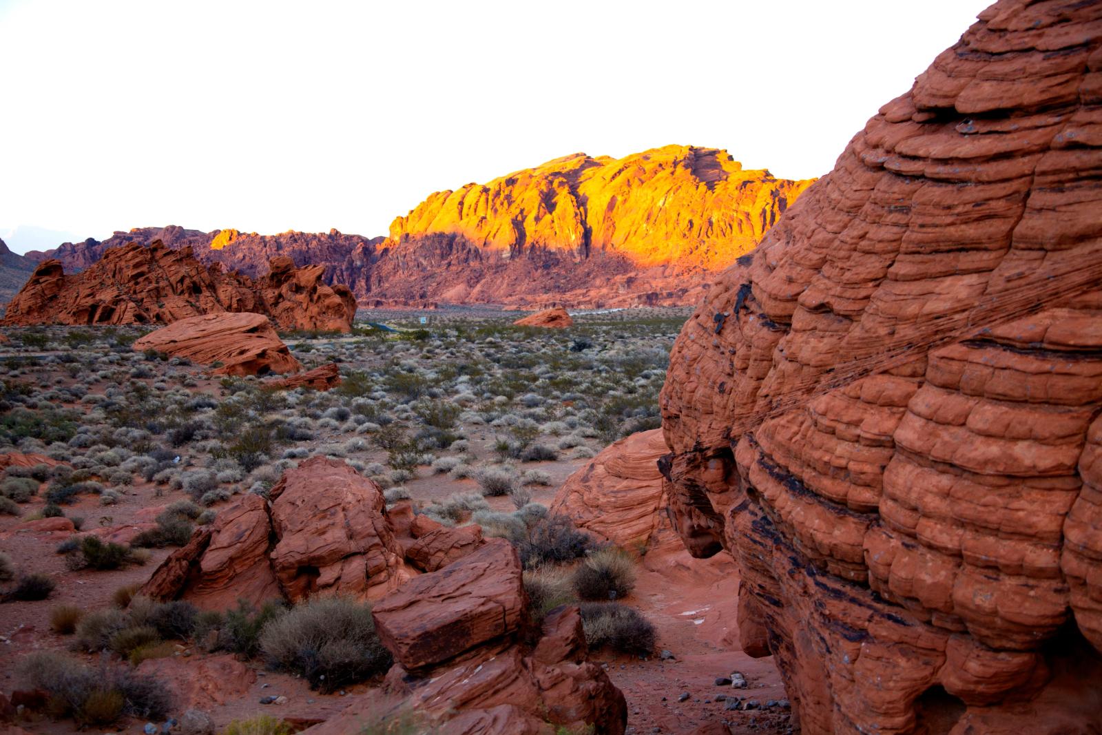 Rote Felsen in der Wüste von Nevada