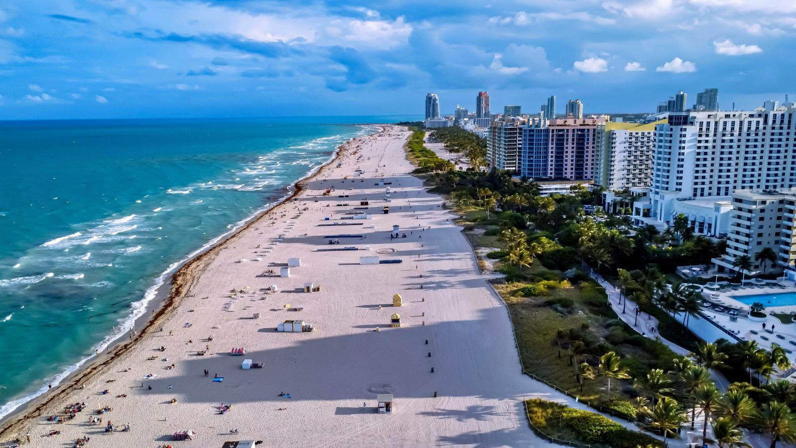 Miami Skyline mit Palmen und Strand