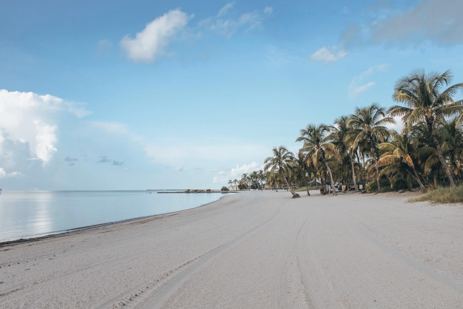 Traumstrand in Florida mit Palmen und türkisfarbenem Meer
