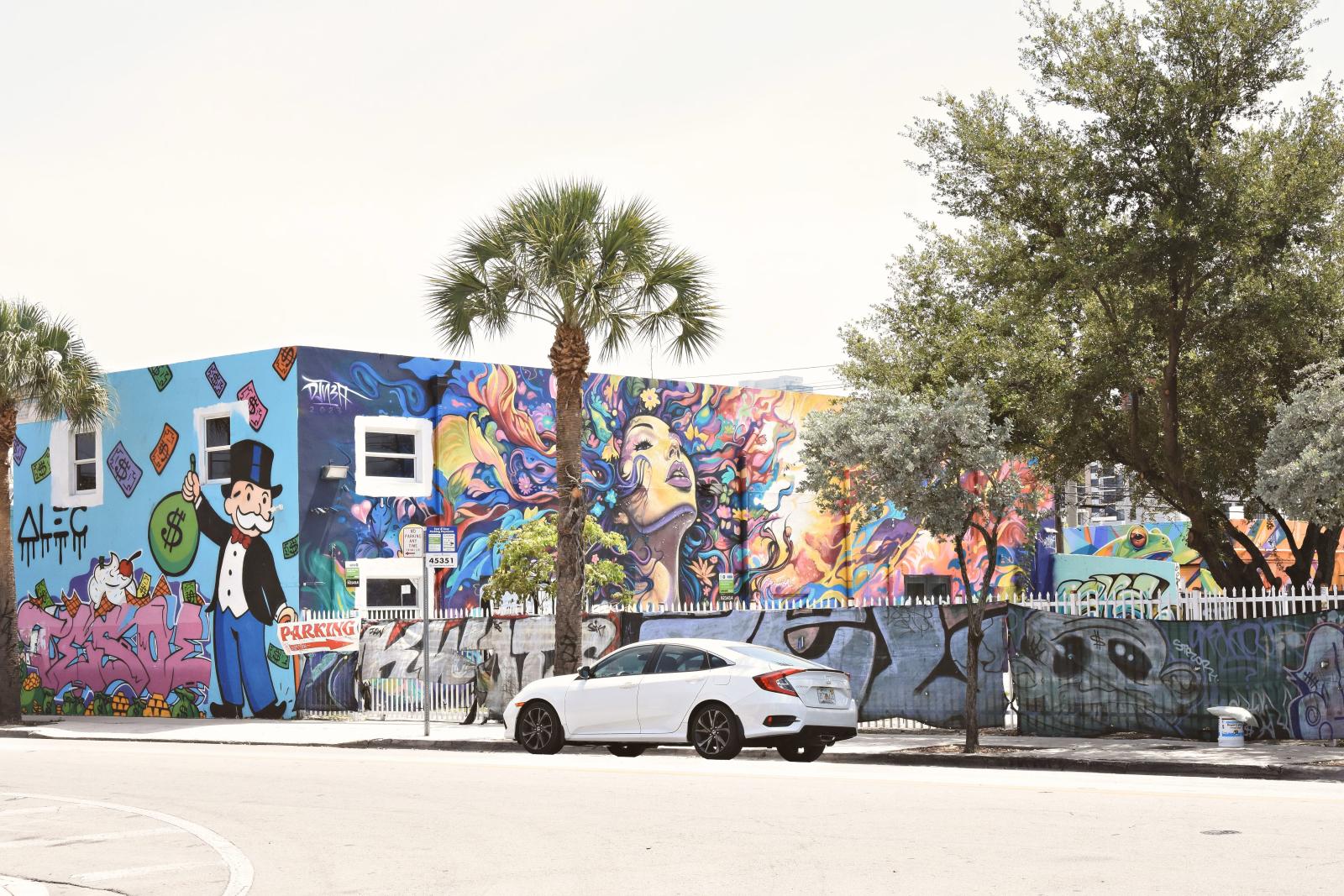 Farbige Wandgemälde und Street Art in Wynwood Miami
