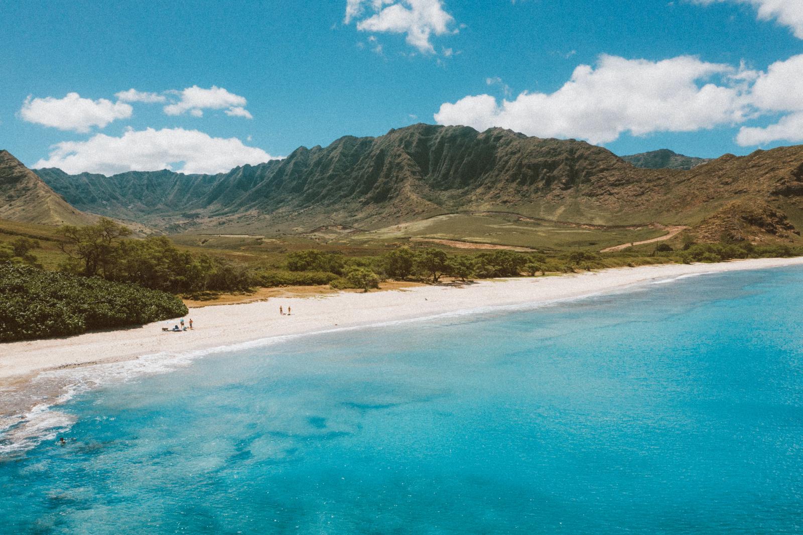 Tropischer Strand auf Hawaii mit Pazifik und Palmen