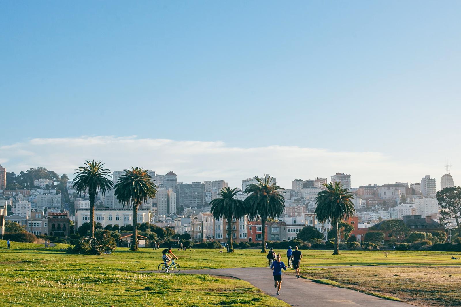 Golden Gate Park mit Palmen und Grünflächen
