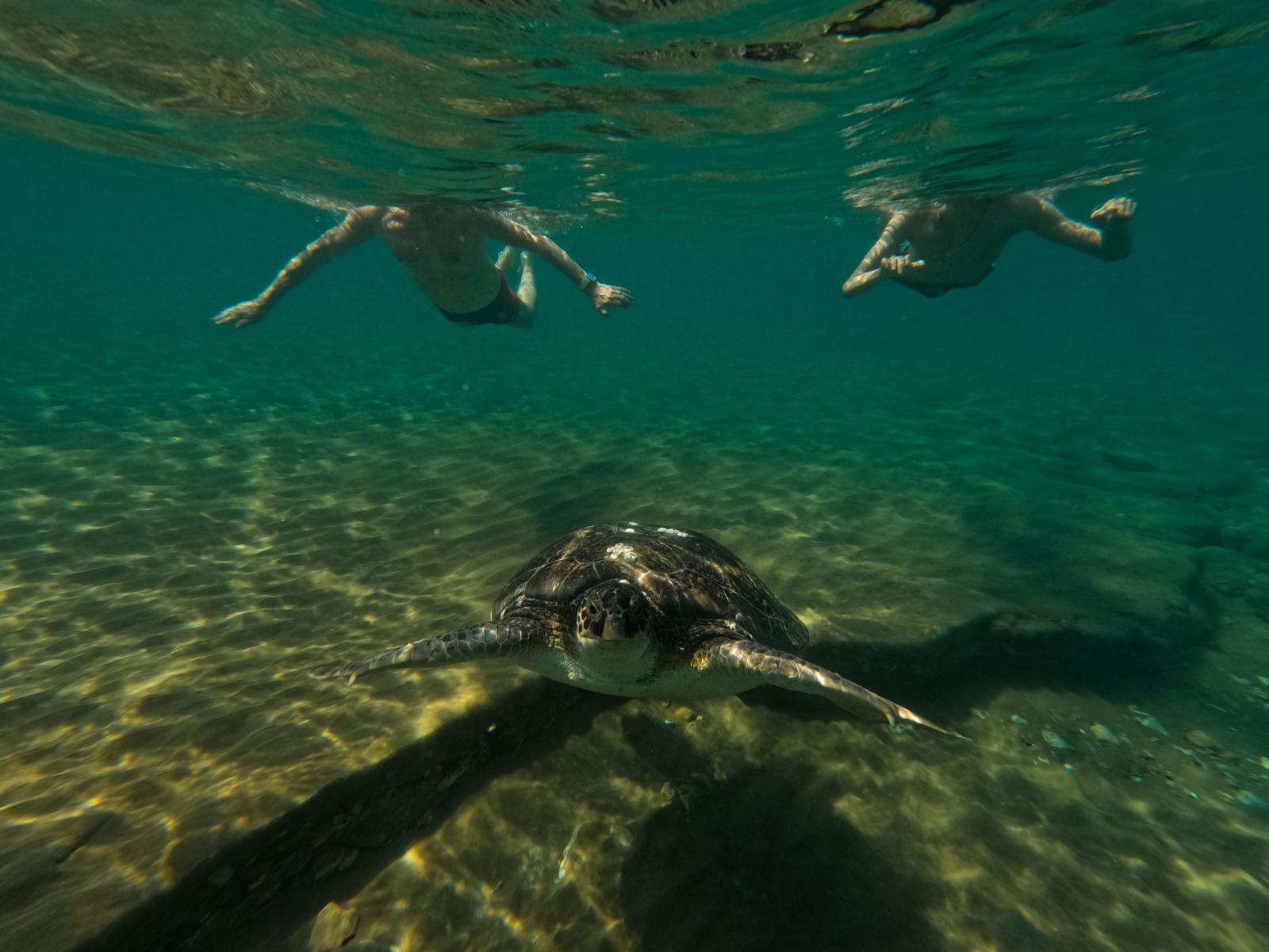 Schnorcheln an der Westküste Zyperns bei Paphos