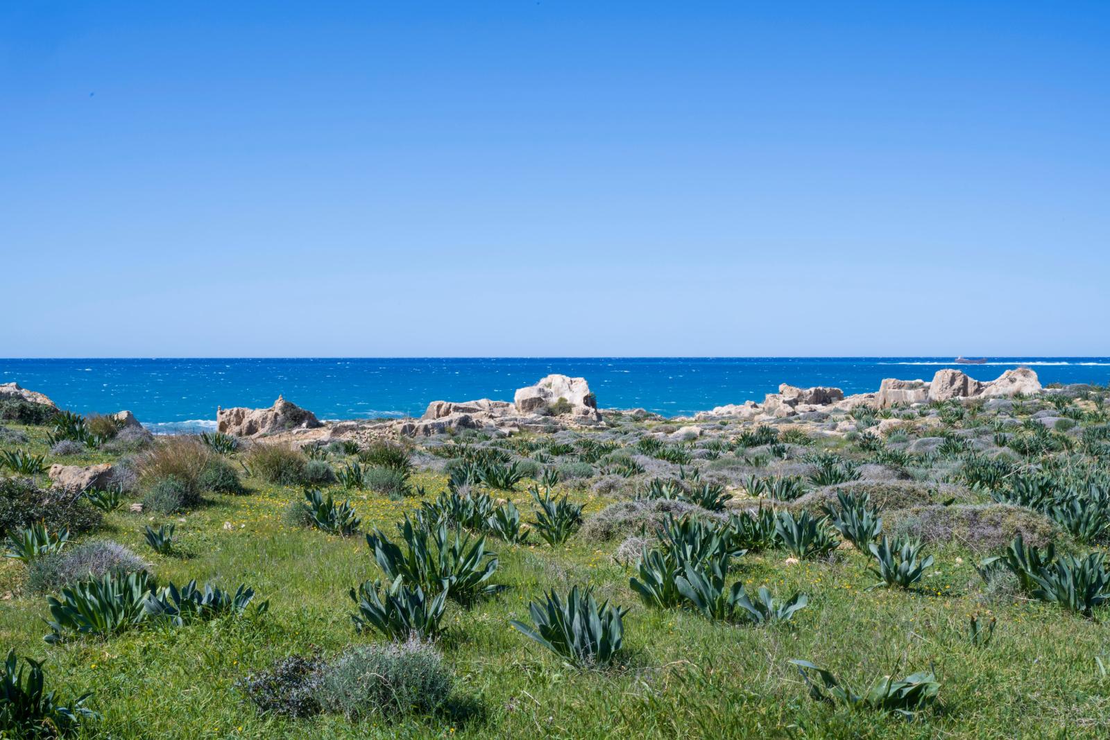  Zufahrt durch die natürliche Landschaft zur Küste von Lara Beach