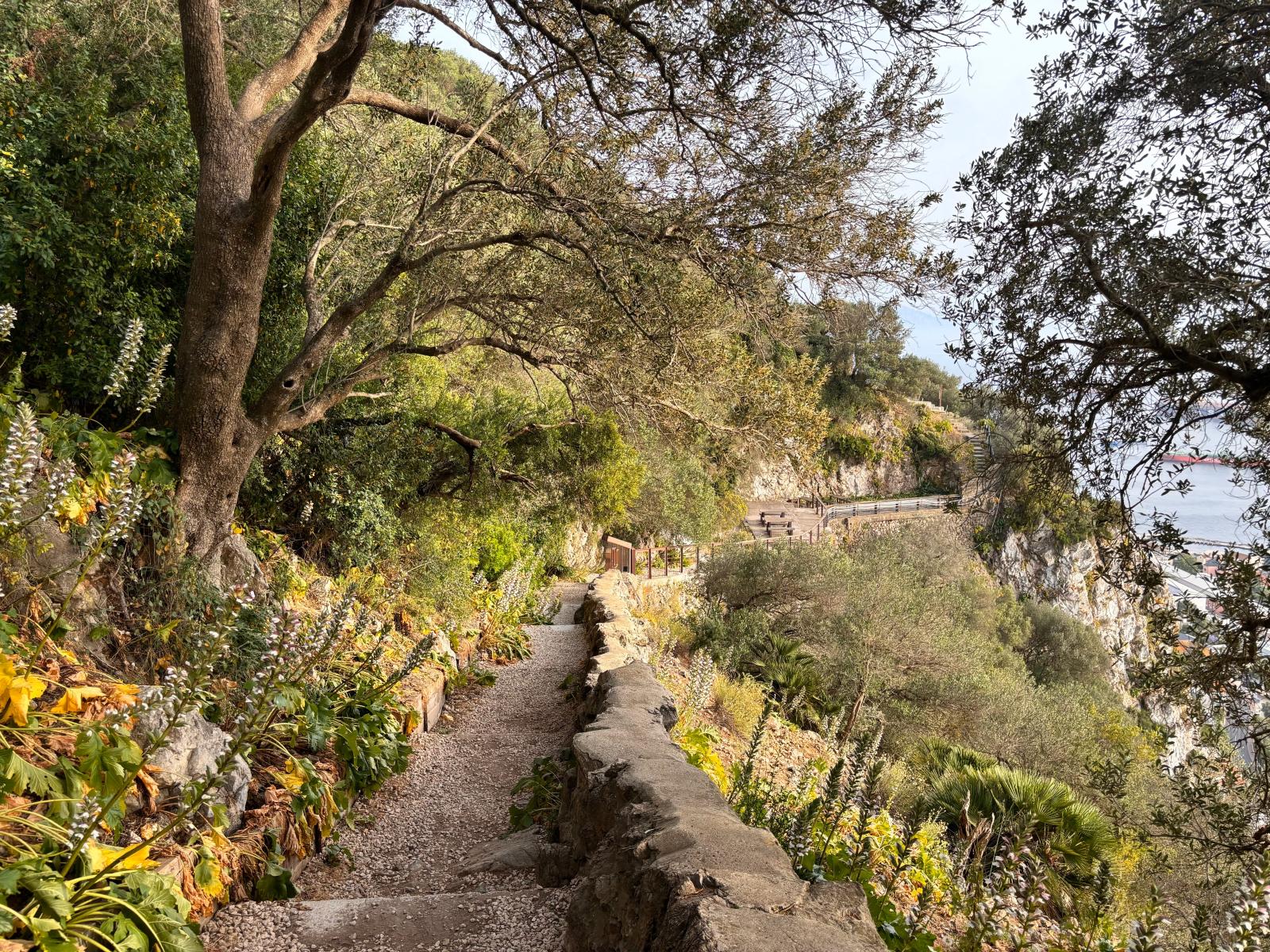 Mediterrane Pflanzen und felsiger Wanderweg in der Natur Zyperns