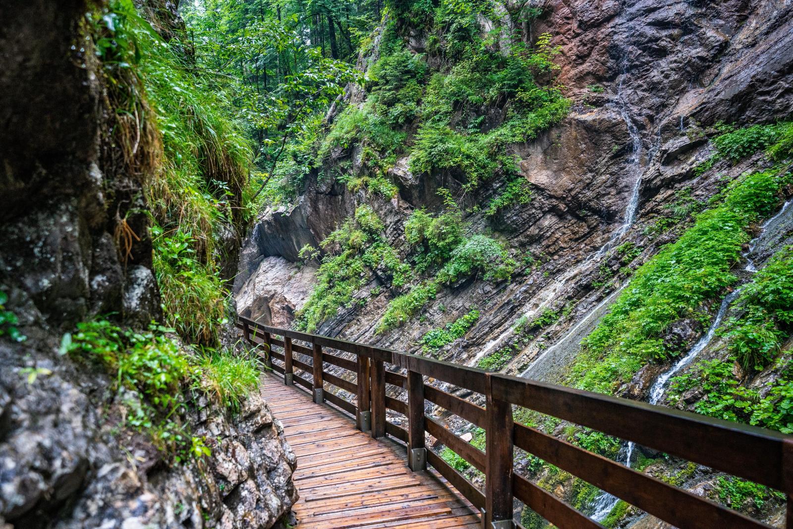 Felsformationen und Wanderweg in der Avakas-Schlucht