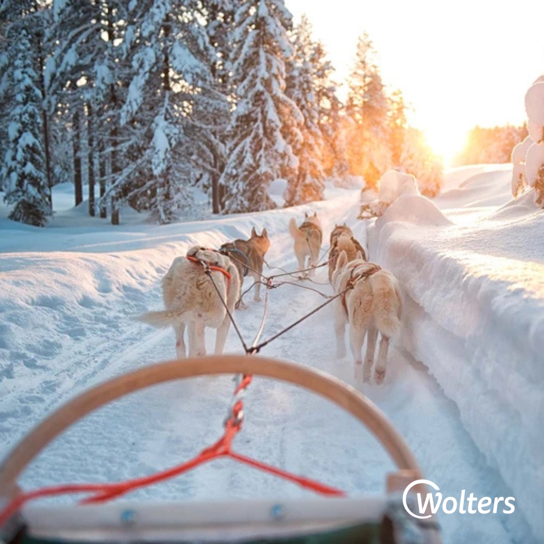 Finnland mit den Schlittenhunde entdecken