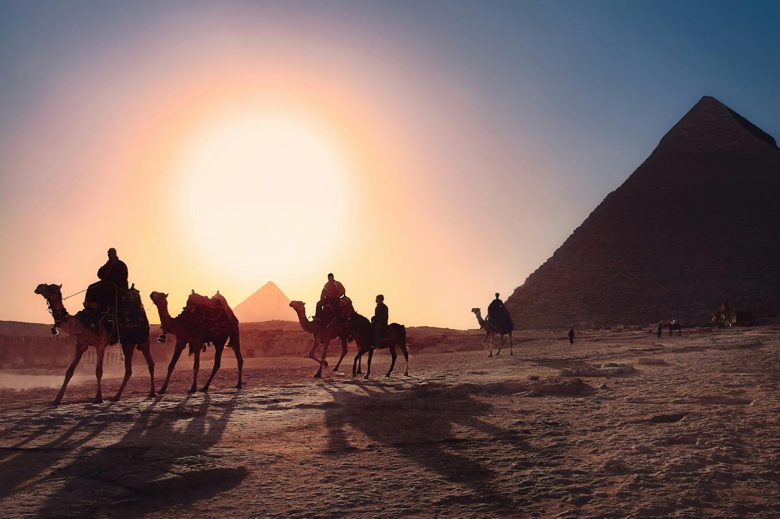 Kamele vor den Pyramiden in Gizeh bei Sonnenuntergang in Ägypten