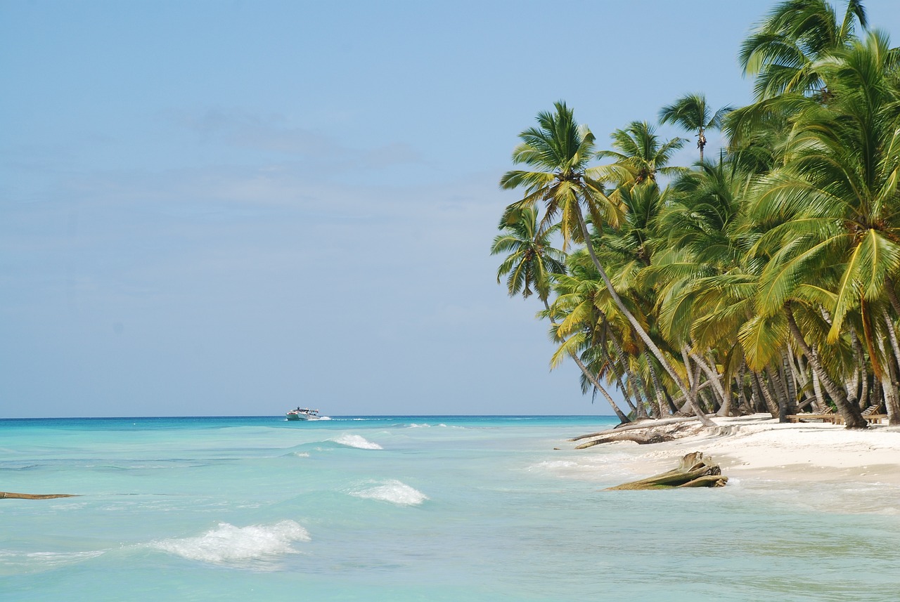 Palmenstrand mit türkisblauem Meer in der Dominikanischen Republik