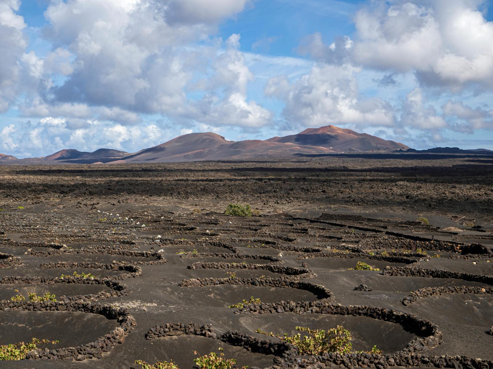 Lavafeld und Weinbau in La Geria auf Lanzarote