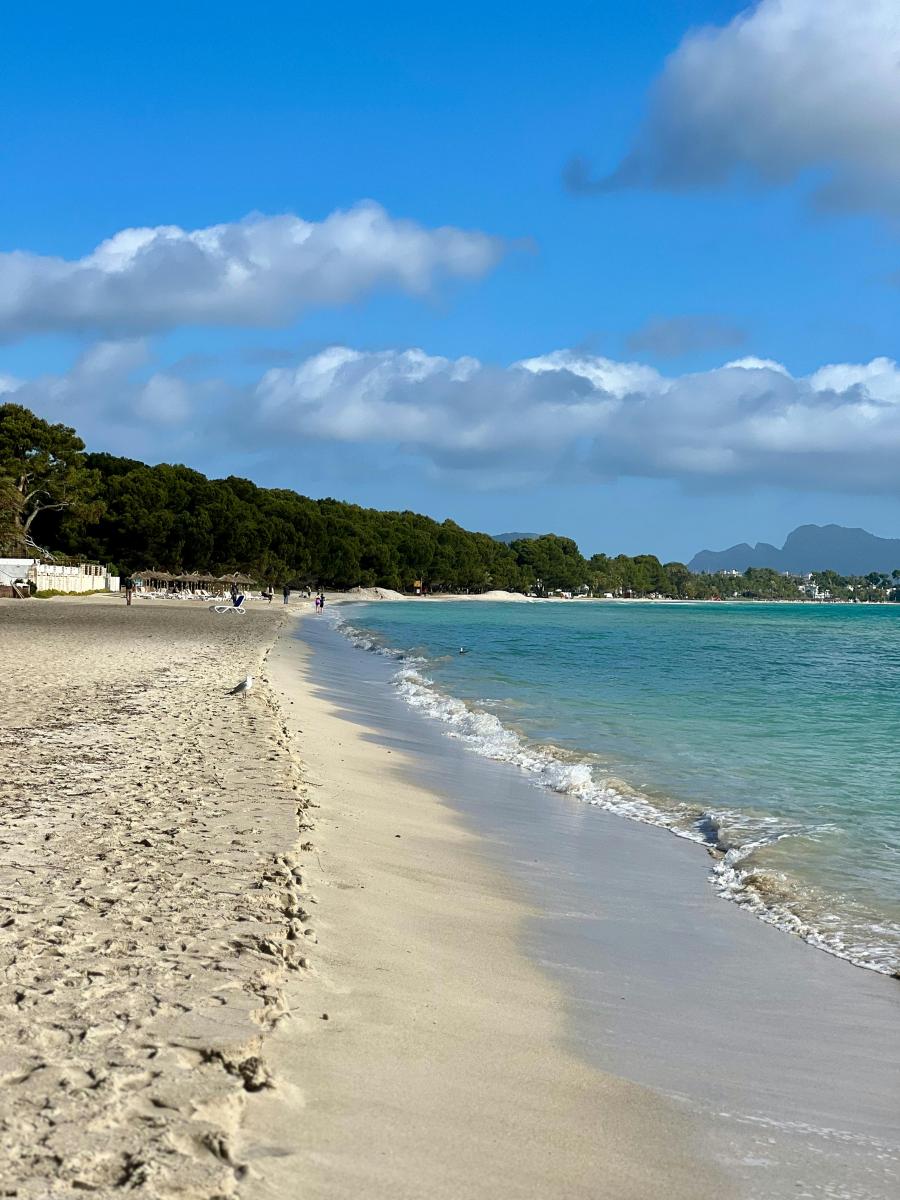 Langer Sandstrand bei Playa de Muro und Alcúdia auf Mallorca