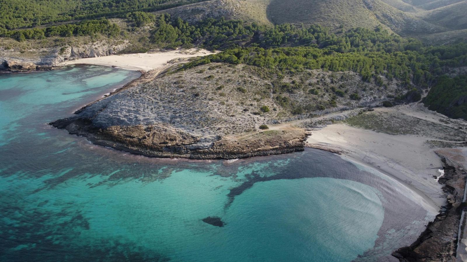 Playa de Palma mit Sandstrand, Hotels und Promenade auf Mallorca