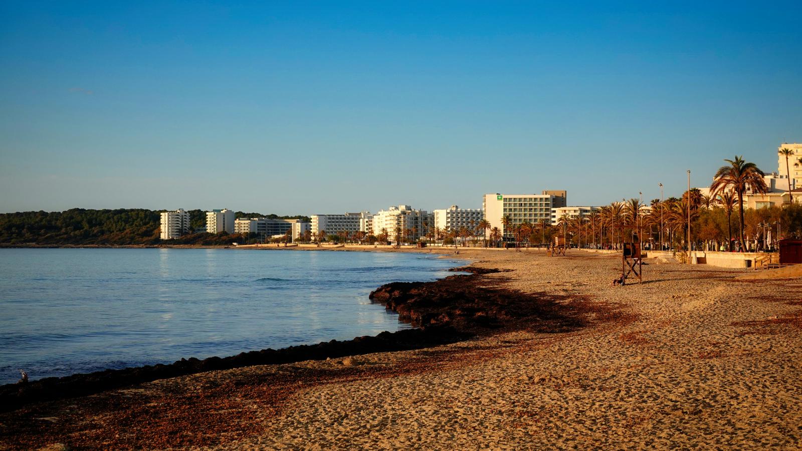 Strandpromenade mit Palmen und Abendstimmung auf Mallorca
