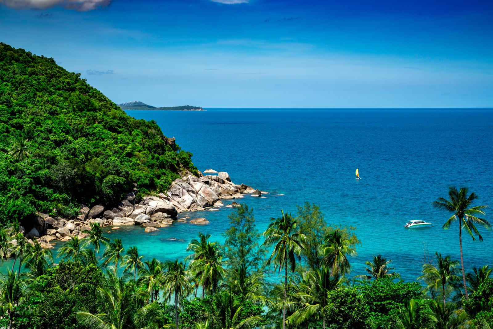 Aussicht auf eine tropische Bucht mit Palmen und blauem Meer auf Koh Samui