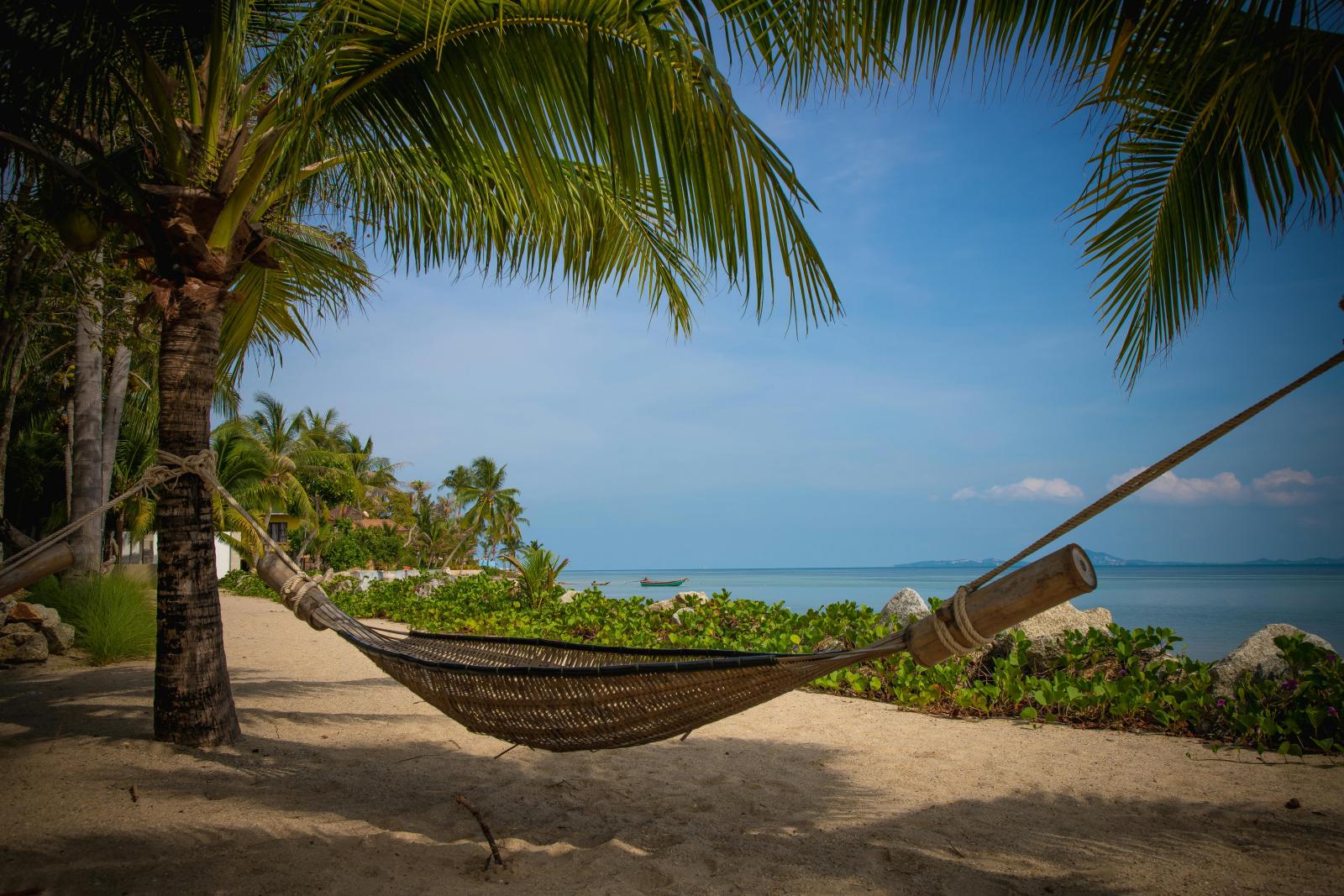 Tropische Küste mit Palmen und türkisblauem Meer auf Koh Samui