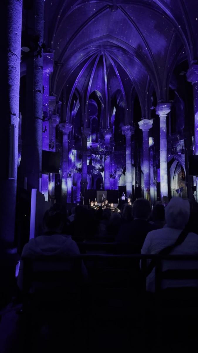 Die Gewölbe der Basilika Notre-Dame in Nizza bei Luminiscence, in blaues Licht getaucht