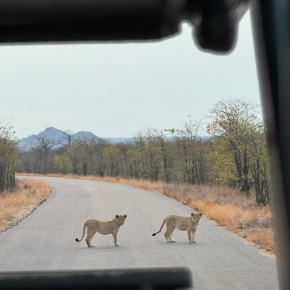 Südafrika Reise