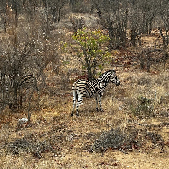 Südafrika Reise