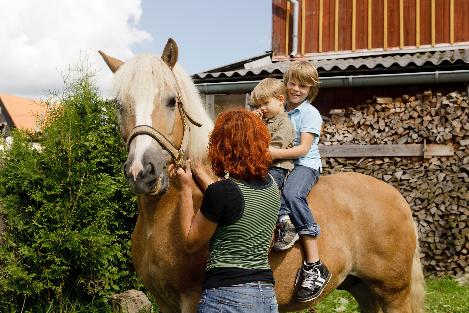 Zwei Jungs sitzen auf einem Pferd, Sächsische Schweiz © Rene Gaens Zwei Jungs sitzen auf einem Pferd, Sächsische Schweiz © Rene Gaens